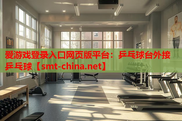 爱游戏登录入口网页版平台：乒乓球台外接乒乓球