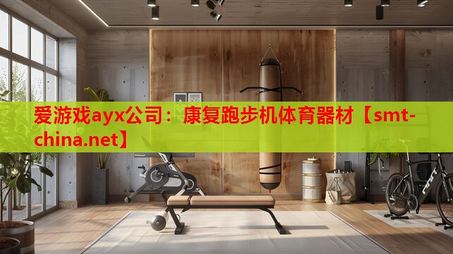 爱游戏ayx公司：康复跑步机体育器材