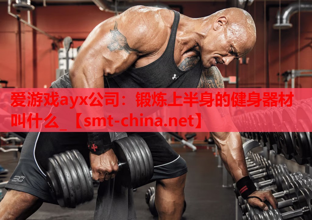 爱游戏ayx公司：锻炼上半身的健身器材叫什么_