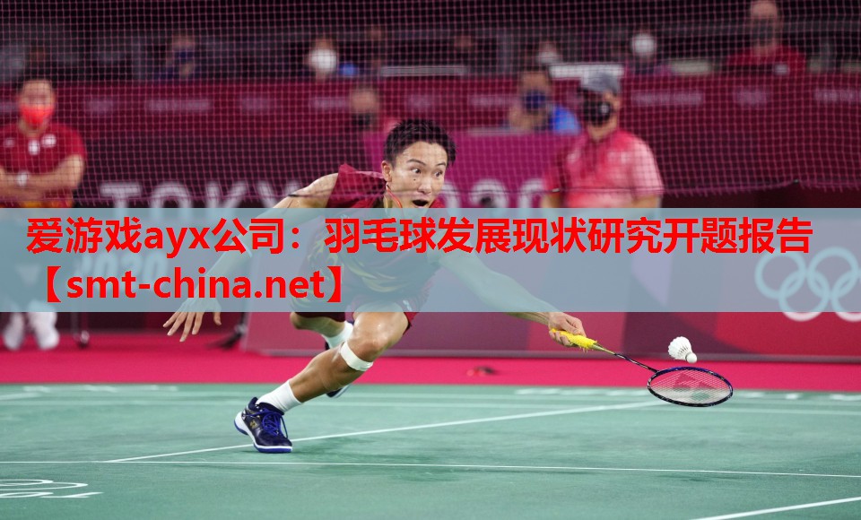 爱游戏ayx公司：羽毛球发展现状研究开题报告