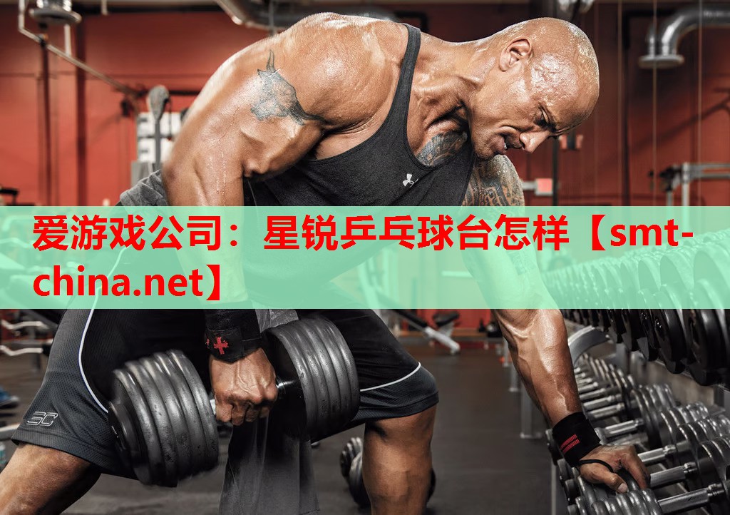 星锐乒乓球台怎样 星锐乒乓球台怎样