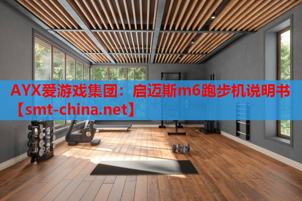 启迈斯m6跑步机说明书 启迈斯m6跑步机说明书