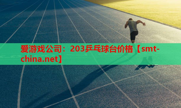 203乒乓球台价格 203乒乓球台价格