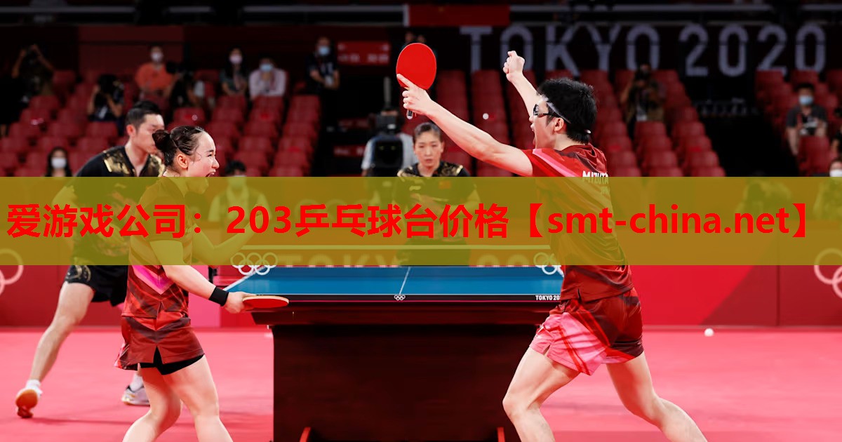 203乒乓球台价格 203乒乓球台价格