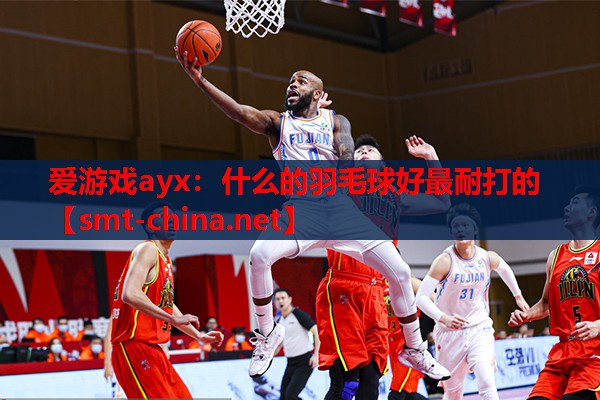什么的羽毛球好最耐打的 什么的羽毛球好最耐打的