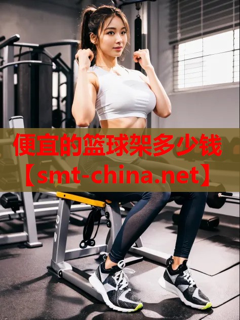 便宜的篮球架多少钱 便宜的篮球架多少钱
