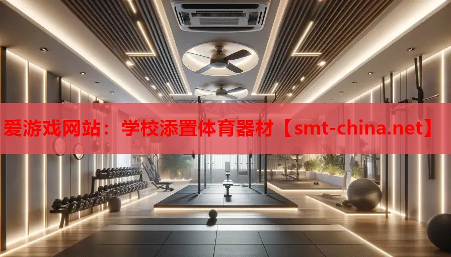 学校添置体育器材 学校添置体育器材