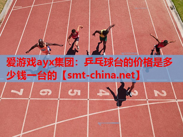 乒乓球台的价格是多少钱一台的 乒乓球台的价格是多少钱一台的