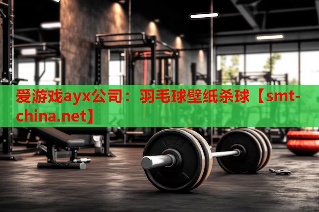羽毛球壁纸杀球 羽毛球壁纸杀球